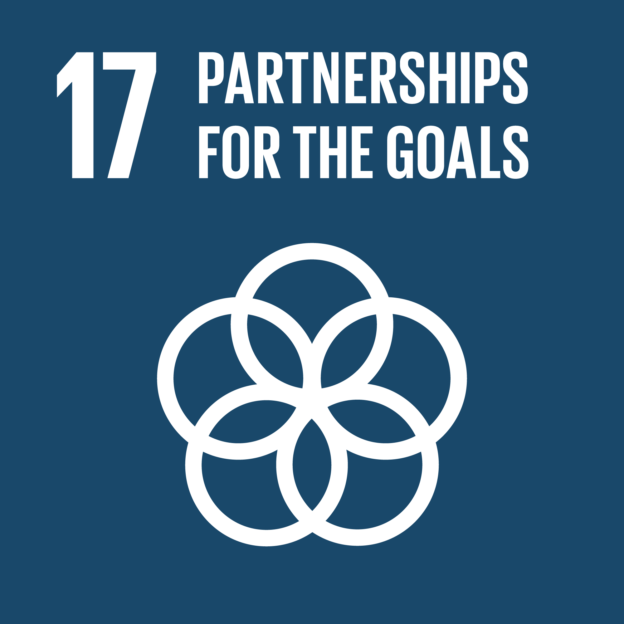 SDG 17