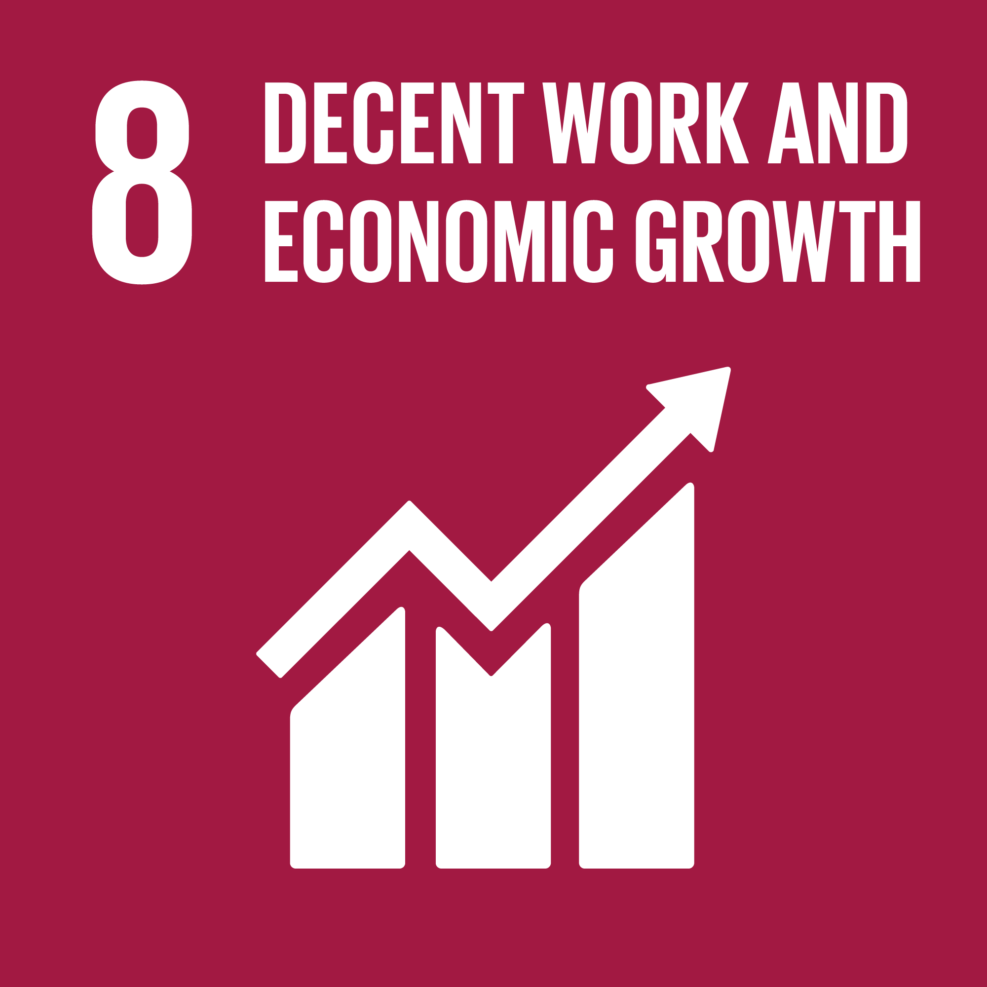 SDG 8